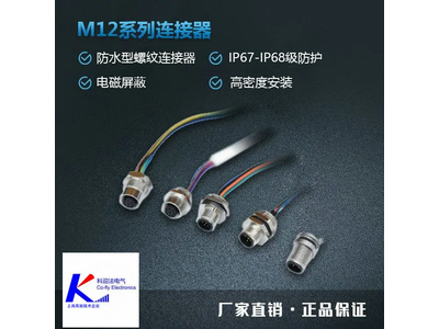 RJ45 Male with M12 D Coding 4 Pins Shielded Electrical Cable Plug Connector